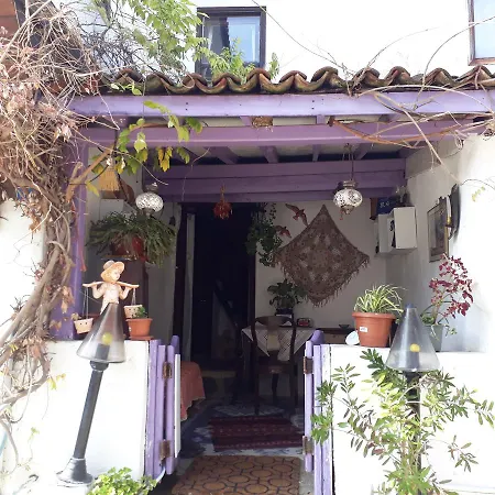 Dionysos Guest house *